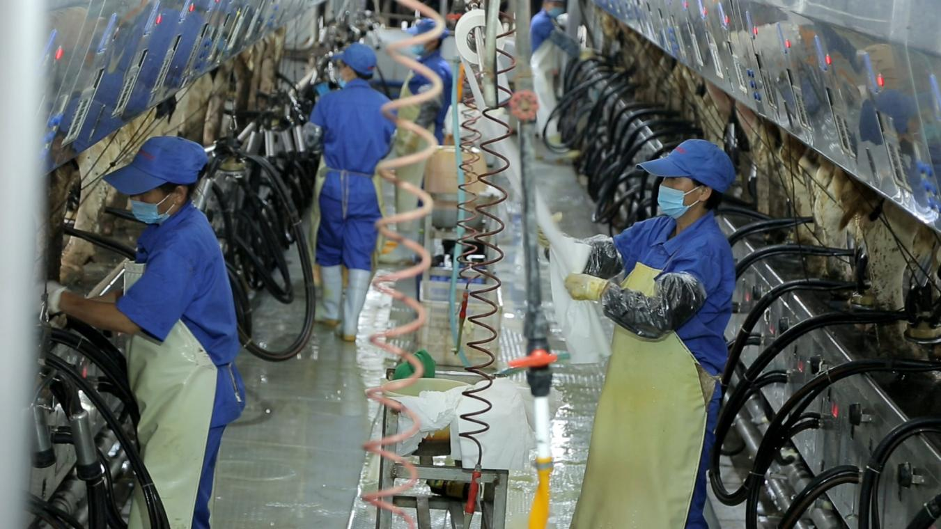 28圈丨河南农业大学党委副书记、校长介晓磊一行莅临花花：幽先鹧锹眯械餮