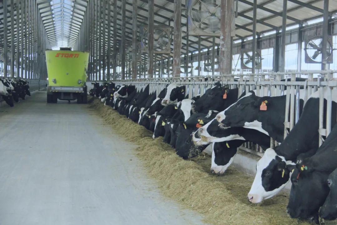 28圈丨驻马店市遂平县政协党组书记、、主席张卫东一行莅临28圈鲁山瑞亚牧场旅行