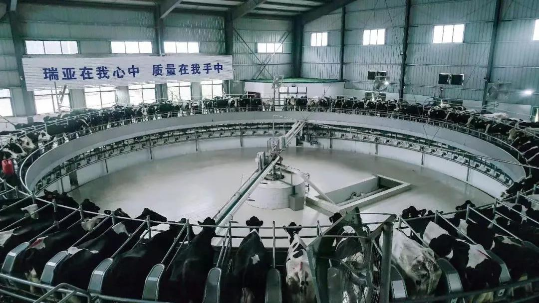 28圈丨驻马店市遂平县政协党组书记、、主席张卫东一行莅临28圈鲁山瑞亚牧场旅行