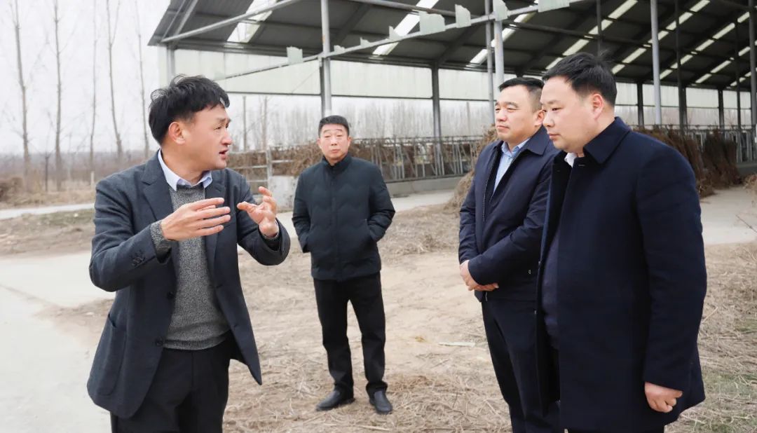 施展工业优势 助力墟落振兴 | 民权县委副书记、县长王静娴会见关晓彦董事长一行