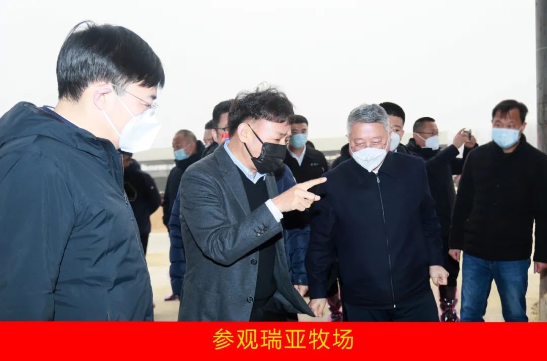 新年开新局 相助促开展丨佳木斯市委常委、、、副市长闫志刚一行莅临28圈乳业集团及佳田企业考察座谈