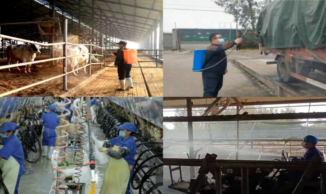 @全体28圈人：：请珍惜你的岗位，，请善待我们配合的“花花！！！！！！