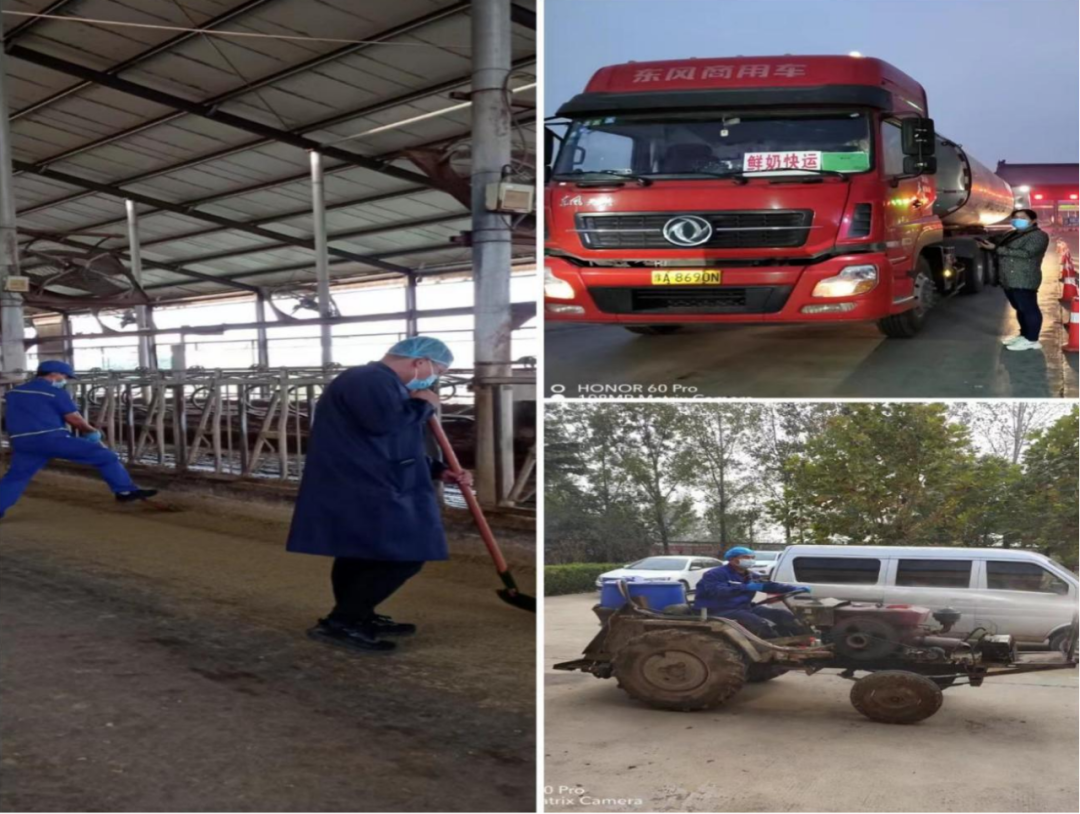 28圈丨点点微光汇星河——养殖事业部抗疫保生产侧记