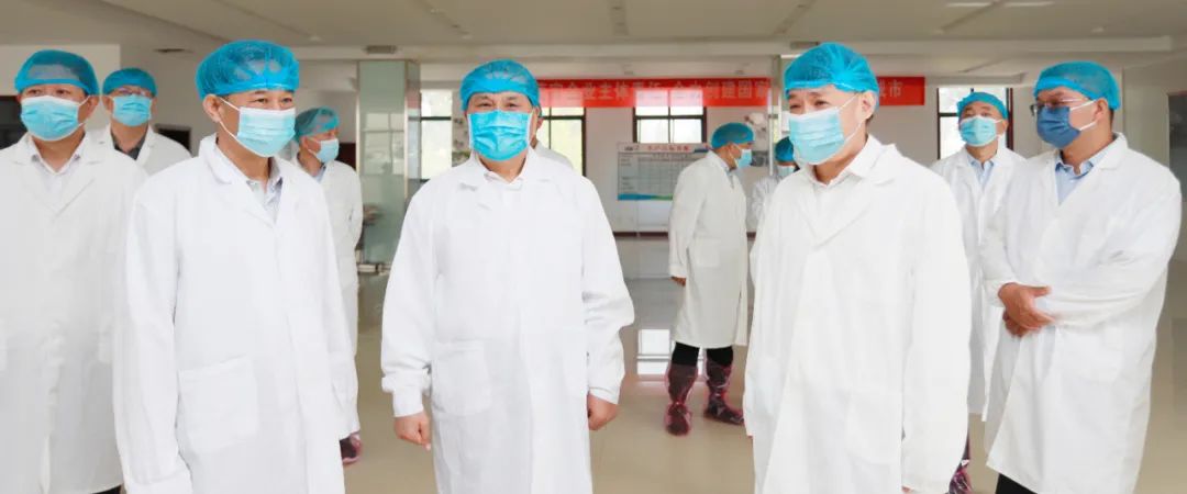 快讯丨河南省人民政府副省长武国定莅临28圈乳业集团瑞亚牧业调研奶源基地建设情形