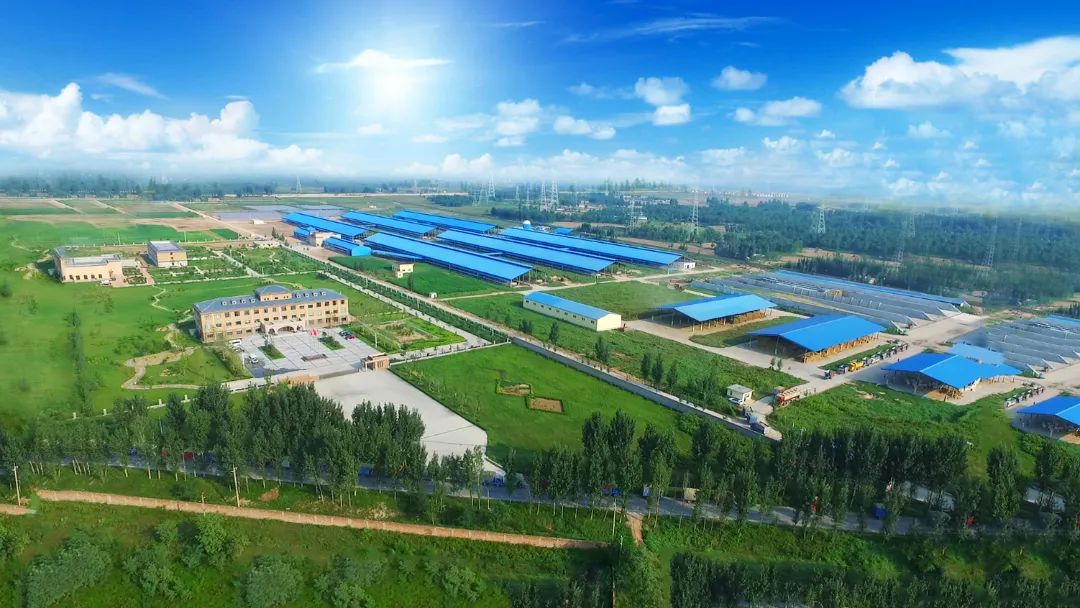 28圈 | 河南瑞亚牧业入选“河南省畜禽焦点育种场”