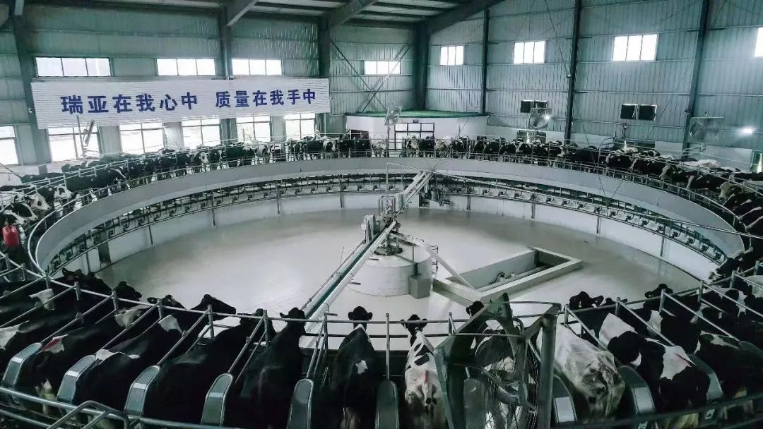 28圈 | 河南瑞亚牧业入选“河南省畜禽焦点育种场”