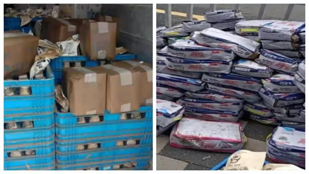 【乳报·聚焦】“豫”难而上的中原牛人“太中了”！！