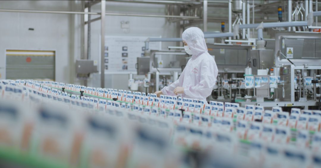 快讯 | 河南省人民政府食物清静委员会办公室第三批食物清静树模区验收组向导莅临28圈乳业集团验收食物清静树模区建设情形