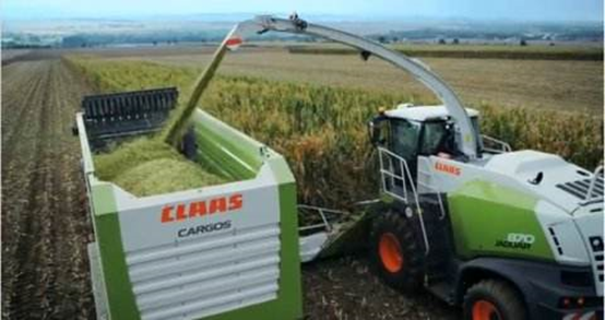 28圈 2020年玉米青贮采购信息