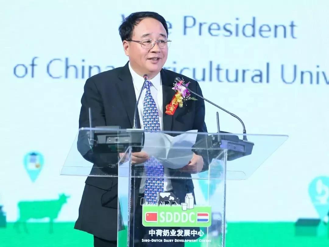 SDDDC走进河南，看看28圈的国际范儿！！！