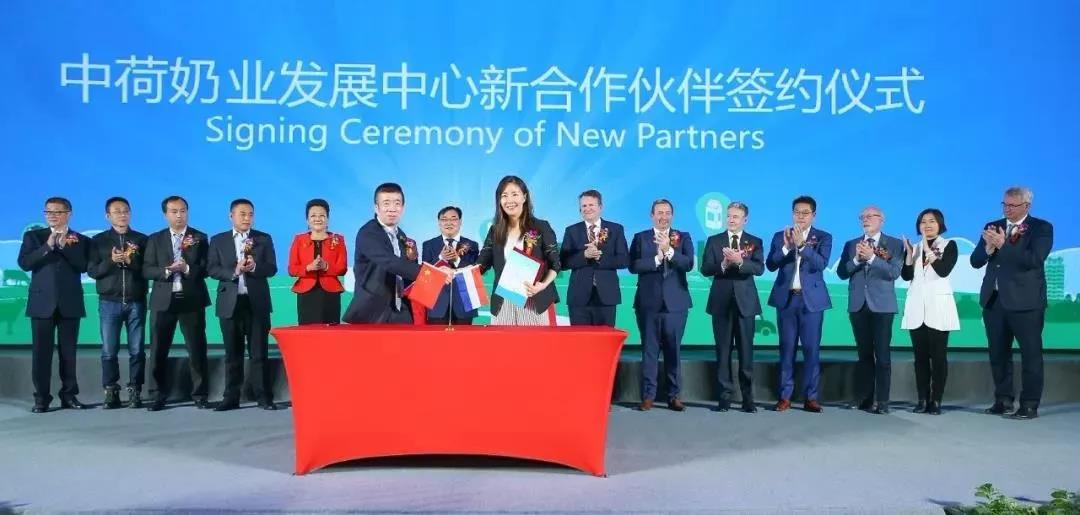 SDDDC走进河南，看看28圈的国际范儿！！！