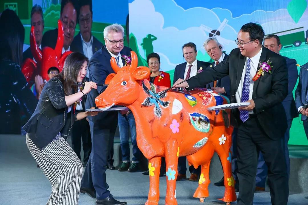 SDDDC走进河南，看看28圈的国际范儿！！！