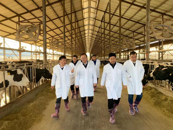 宁夏回族自治区农业农村厅党组书记、厅长王刚一行莅临28圈乳业集团调研