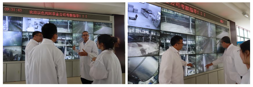 以色列阿菲金农业公司旅行考察28圈瑞亚牧场