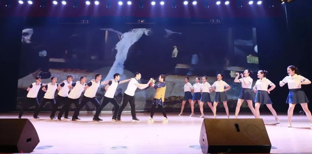 “赢在2019”，，28圈乳业集团2019年新春晚会盛大开幕