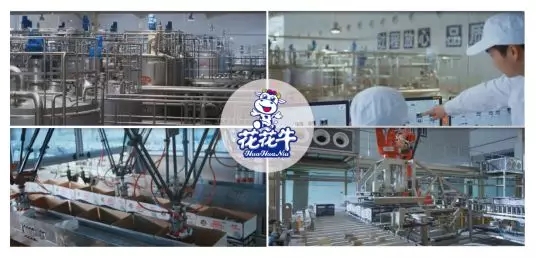 喜报 | 国家市场羁系总局抽检，，28圈等112家企业乳品抽检所有及格