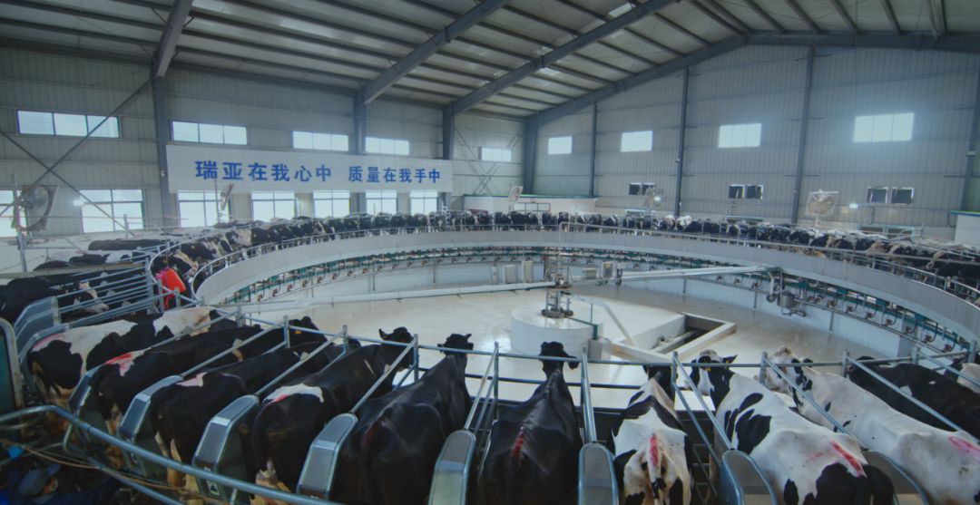 28圈集团旗下六家公司入选省农业工业化重点龙头企业名单