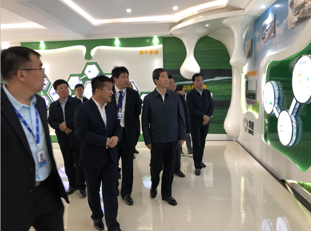 河南省委副书记、、、省长陈润儿一行莅临 28圈集团鲁山瑞亚牧业有限公司视察调研