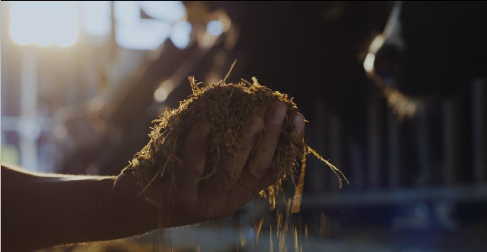 又双叒叕获奖啦！28圈荣获“乳品质量清静治理 优异企业”