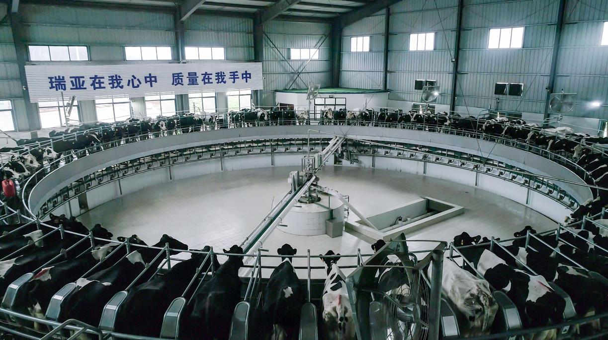 又双叒叕获奖啦！28圈荣获“乳品质量清静治理 优异企业”