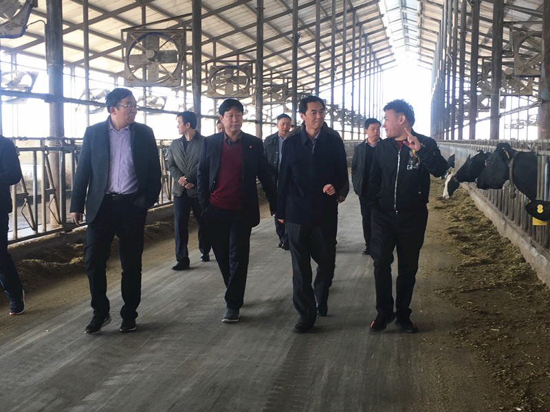 封丘县县长王献臣一行莅临 28圈集团养殖、、乳品事业部旅行调研