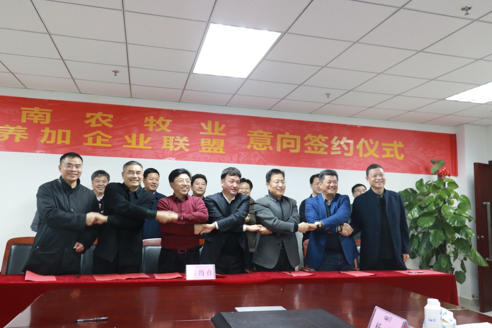 涉农企业强强联合，，，“抱团取暖”共迎企业开展的春天