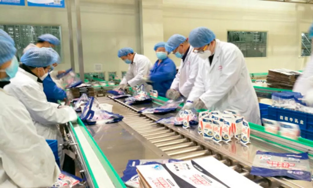 快讯丨河南省副省长武国定莅临28圈乳业集团调研重点包管企业复工复产情形