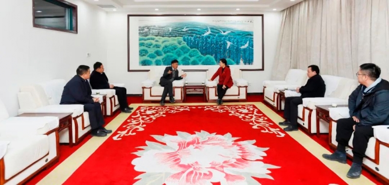 施展工业优势 助力墟落振兴 | 民权县委副书记、县长王静娴会见关晓彦董事长一行