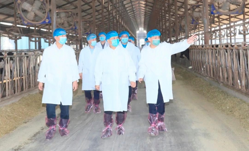 快讯丨河南省人民政府副省长武国定莅临28圈乳业集团瑞亚牧业调研奶源基地建设情形