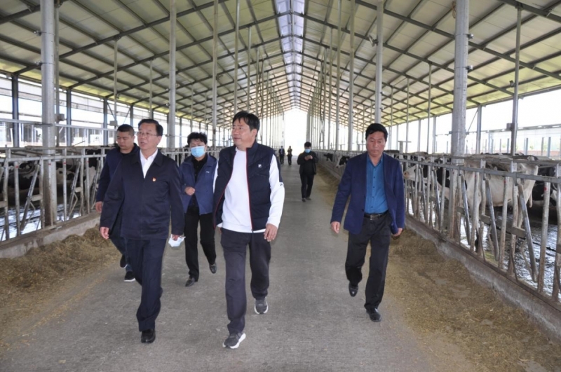 商丘市委常委、、宣传部部长王全周一行莅临睢县瑞亚牧业有限公司调研