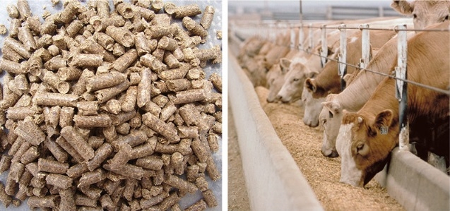 热烈：：睾幽先账橇嫌邢薰净竦弥柿恐卫砗褪澄锴寰仓卫 系统认证证书